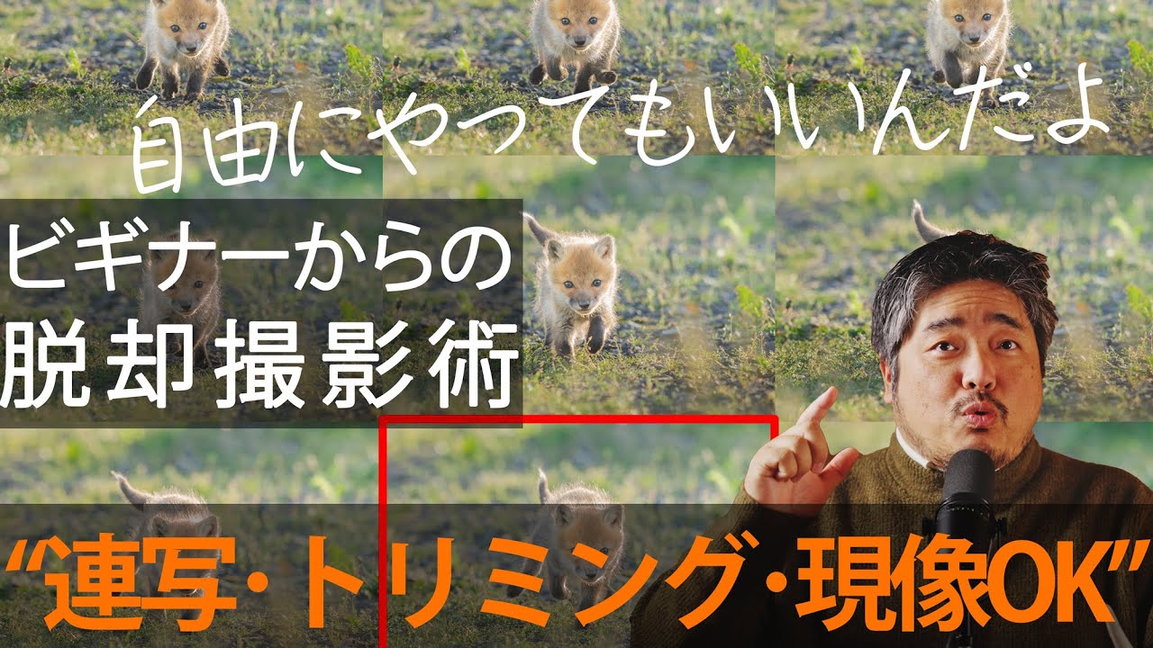 【ビギナーからの脱却撮影術】連写、トリミング、現像、やってもいいんです。