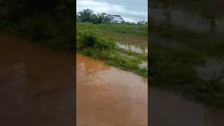 #Banjir #Short Niat mau mancing malah kecegat banjir