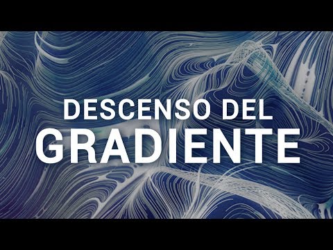 Video: ¿Por qué se usa el descenso de gradiente?