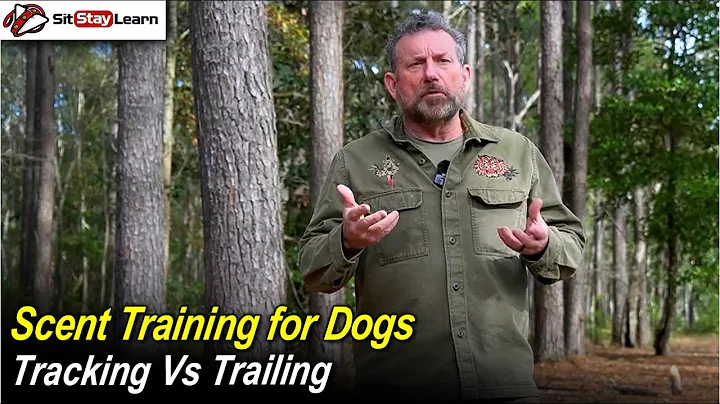 Scent Training for Dogs - Tracking Vs Trailing with Jeff Shettler