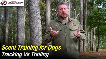 Scent Training for Dogs - Tracking Vs Trailing with Jeff Shettler