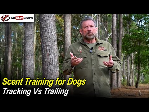 What Is Meant By Dog Tracking