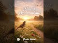 Śpiew skowronków