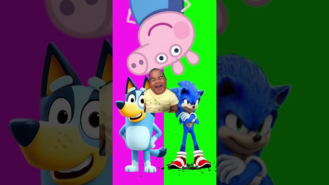 Wrong eyes👀 NEW EPISODES/ Sheriff Labrador x Rocky & BabyBoss Puzzle Wrong HeadsEYE PUZZLE WORLD