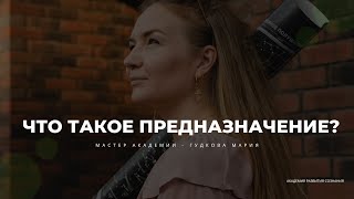 ЧТО ТАКОЕ ПРЕДНАЗНАЧЕНИЕ. МАСТЕР АКАДЕМИИ САРАСВАТИ ДЕВИ - ГУДКОВА МАРИЯ.