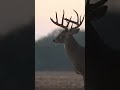 Cottonseed Bale gives your herd the high-quality fuel they need to grow