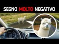 I migliori momenti in cui pensare 'Se vedi questo, allontanati'