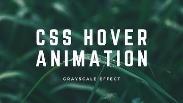 Hover Animation with Grayscale Effect | CSS Animation Examples