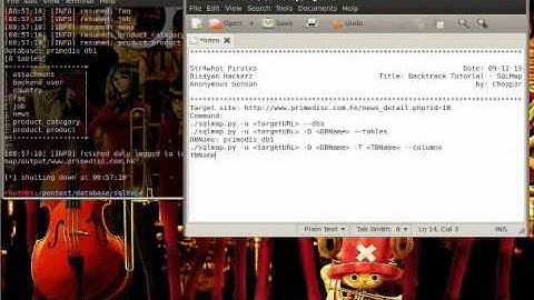 Backtrack Tutorial - SQLMap