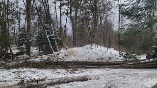 Logging with Dad Feb 2024