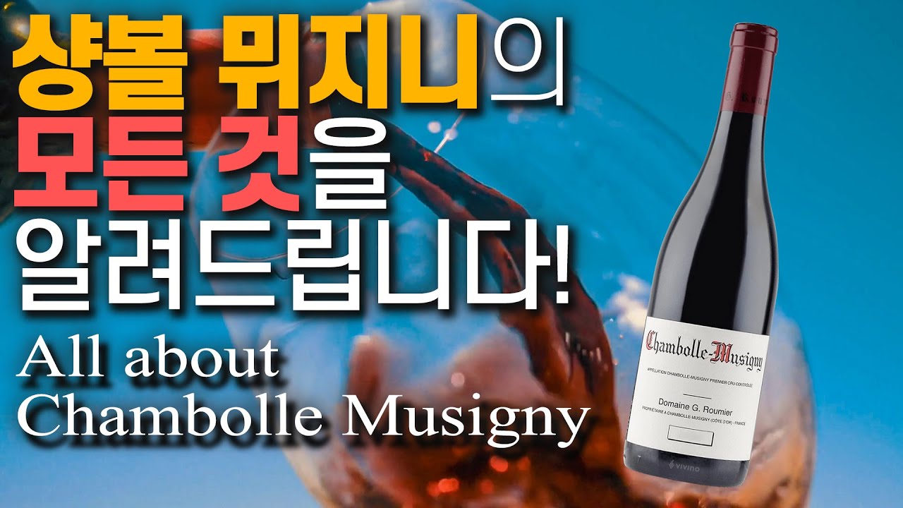 Class 101 : Everything about Chambolle Musigny - YouTube
