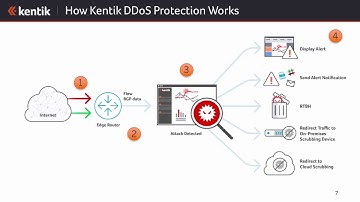 How to Detect DDoS Attacks with Adaptive Learning: Product Webinar