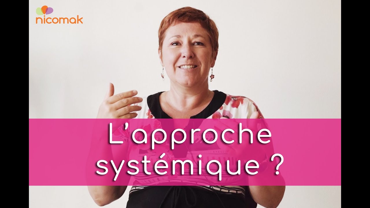 Qu'est-ce que l'approche systémique ?