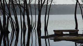 Половодье на Озерне. Добрая вода. by Della Strit 13 views 5 years ago 36 seconds