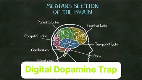 The Dopamine Trap: How Your Brain Is Being Controlled Without You Knowing