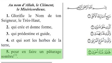 Sourate Al-A'la | Ra'd Al-Kurdi (87) سورة الأعلى | رعد محمد الكردي