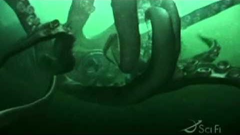 Diver attacked by squid from a movie