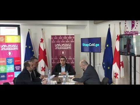 გიორგი ვაშაძისა ანტიკრიზისული გეგმის განხილვა სხვადასხვა სფეროს ექსპერტებთან ერთად