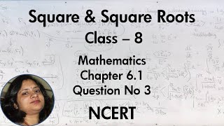 Square and Square Roots Class 8 Chapter 6  Exercise 6.1 Question No. 3 NCERT