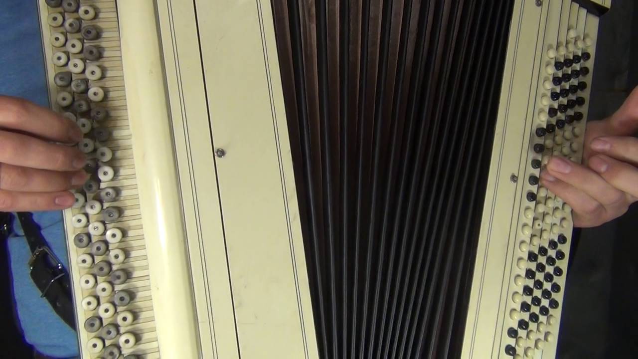 Баян крупным планом