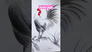 Menggambar Ayam Jago #menggambar #melukis