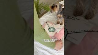 Мамочки, делитесь, сколько времени в декрете Вы уделяете для себя?