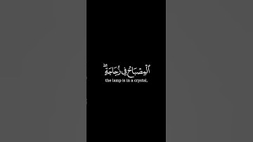 الله نور السماوات والأرض || كروما قران شاشه سوداء || للقارئ محمد المنشاوي🤍🌿✨
