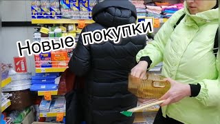 ЕДЕМ С ДОЧЕРЬЮ В НОВЫЙ МАГАЗИН. УВИДЕЛИ СТРАННОЕ. КОЛБАСА ЛЕНДЛИЗ. СУП ДЛЯ КОТОВ. СОЛИМ САЛО.