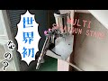 【紹介】マルチスプレーガンスタンド