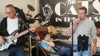 Download Lagu Rehearsal Lovin her was easier by The Cats in the House MP3