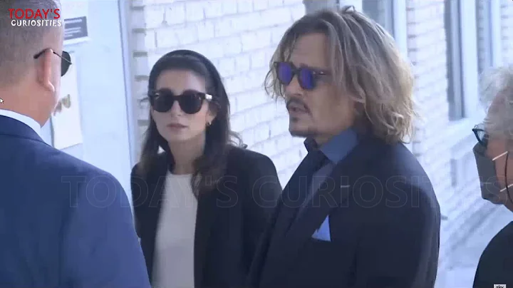 Johnny Depp and his Married Lawyer Joelle Rich Wer...
