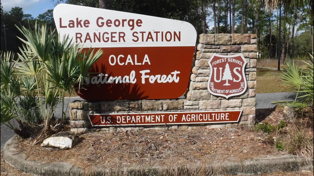 Deer Hunting Florida's Lake WMA, Early Season Bow Hunt YouTube