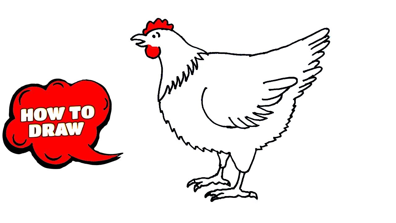 How to draw a Chicken Easy to draw Chicken Cute cartoon animals to