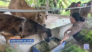 Trailer GIẢM NGHÈO ĐA CHIỀU | Phát sóng 20G05 ngày 25/10/2024 | TayNinhTVDVC