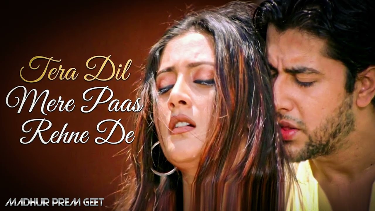 Tera Dil Mere Paas Rehne De | Love Remix | Madhur Prem Geet -