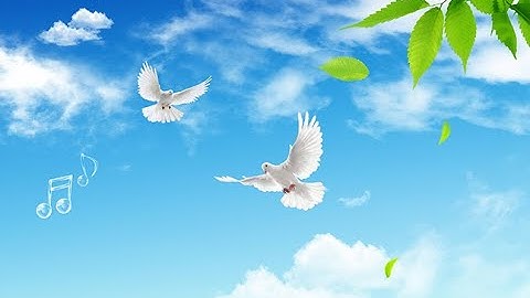 50 Mẫu Tranh 3D Vải Lụa Dán Trần Tuyệt Đẹp P4 - Xưởng In Tranh 3D Vải Lụa Sài Gòn