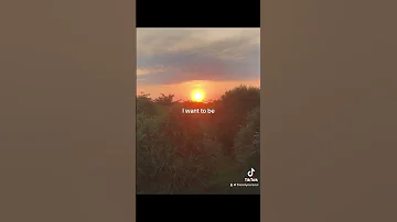 Heavenly Cigarettes After Sex 