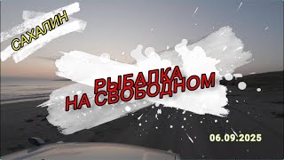 Сахалин. Рыбалка на Свободном. 06.09.2025