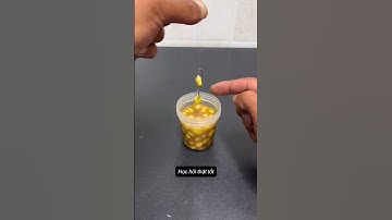 Làm Mồi Câu Cá Chép Từ Ngô, Dân Câu Chuyên Nghiệp Vẫn Thường Dùng  #fishing #cauca