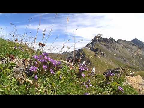 Steinbock Route Tag 5 - OASE AlpinCenter