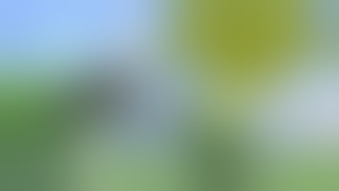 Zerando Ancestral Bird (EMULADOR DE JAVA PARA ANDROID)