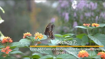 Section 7. From Mid-Century Modernism to Ecological Thinking