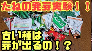 古い種から芽が出るのか？結果やいかに！？違いが出る要因は何か考えてみた