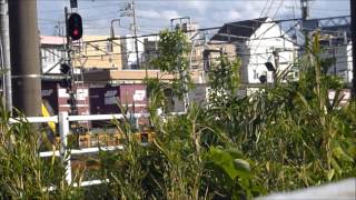 2013 5.7 JR貨物 EF210 161号機 鹿島貨物 98レ 成田駅西口にて