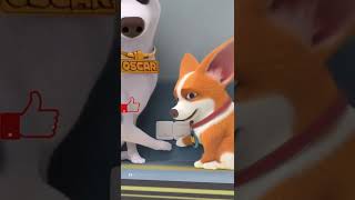 Moco Want To Make A Girlfriend Moco Dog Funny Video