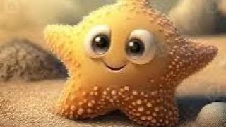 Baby Starfish Facts Lets Learn