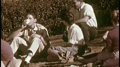 City Boy (original) - Alex Sharp Cole | MUSIC VIDEO | rock version