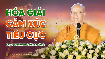 Cách hóa giải cảm xúc tiêu cực | Thầy Thích Trúc Thái Minh