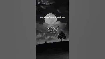 #قران_كريم #سورة_آل_عمران #يوم تبيض وجوه وتسود وجوه