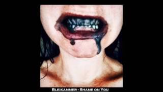 Bleikammer - Shame on you